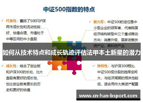 如何从技术特点和成长轨迹评估法甲本土新星的潜力