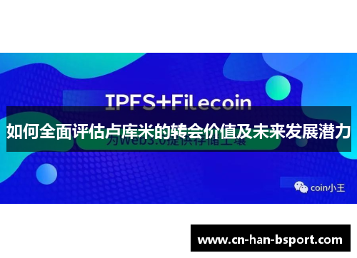 如何全面评估卢库米的转会价值及未来发展潜力
