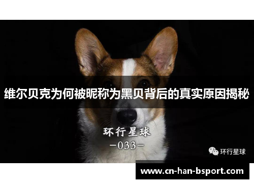维尔贝克为何被昵称为黑贝背后的真实原因揭秘 维尔贝克为何被昵称为黑贝背后的真实原因揭秘