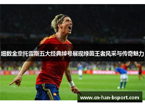 细数金童托雷斯五大经典绰号展现绿茵王者风采与传奇魅力 细数金童托雷斯五大经典绰号展现绿茵王者风采与传奇魅力