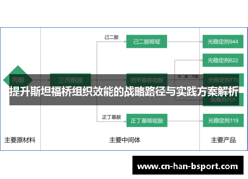 提升斯坦福桥组织效能的战略路径与实践方案解析 提升斯坦福桥组织效能的战略路径与实践方案解析